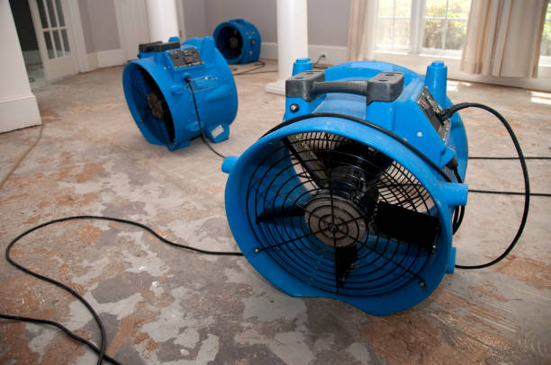 Best Water damage cleanup near me  in Niverville, NY