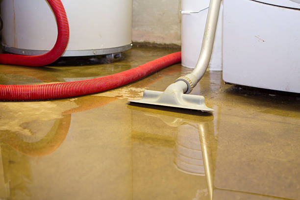 Best Sewage cleanup and water damage restoration  in Niverville, NY