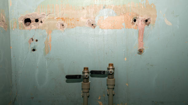 Best Water damage restoration company  in Niverville, NY