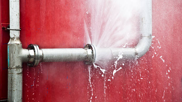 Best Ceiling water damage repair  in Niverville, NY